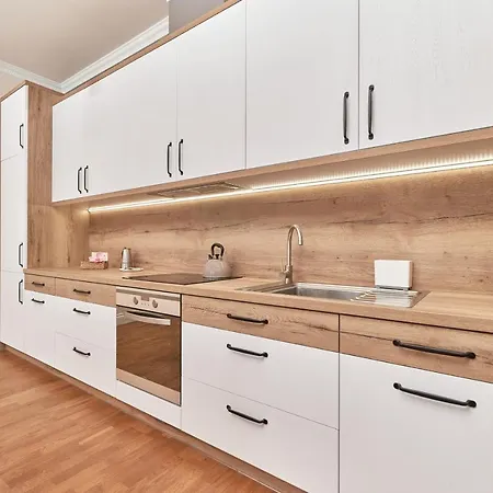 Bialoskornicza 250m To The Market Square By Renters